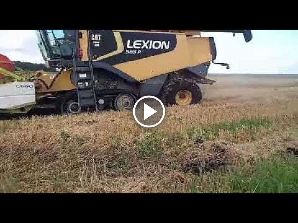 Videó Cat Lexion 595R