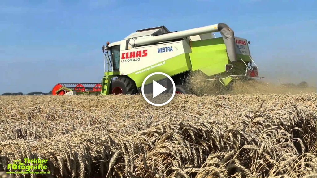 Wideo Claas Lexion 440