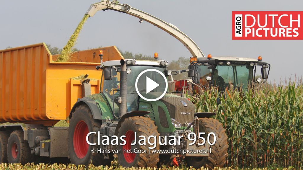 Video Claas Jaguar 950