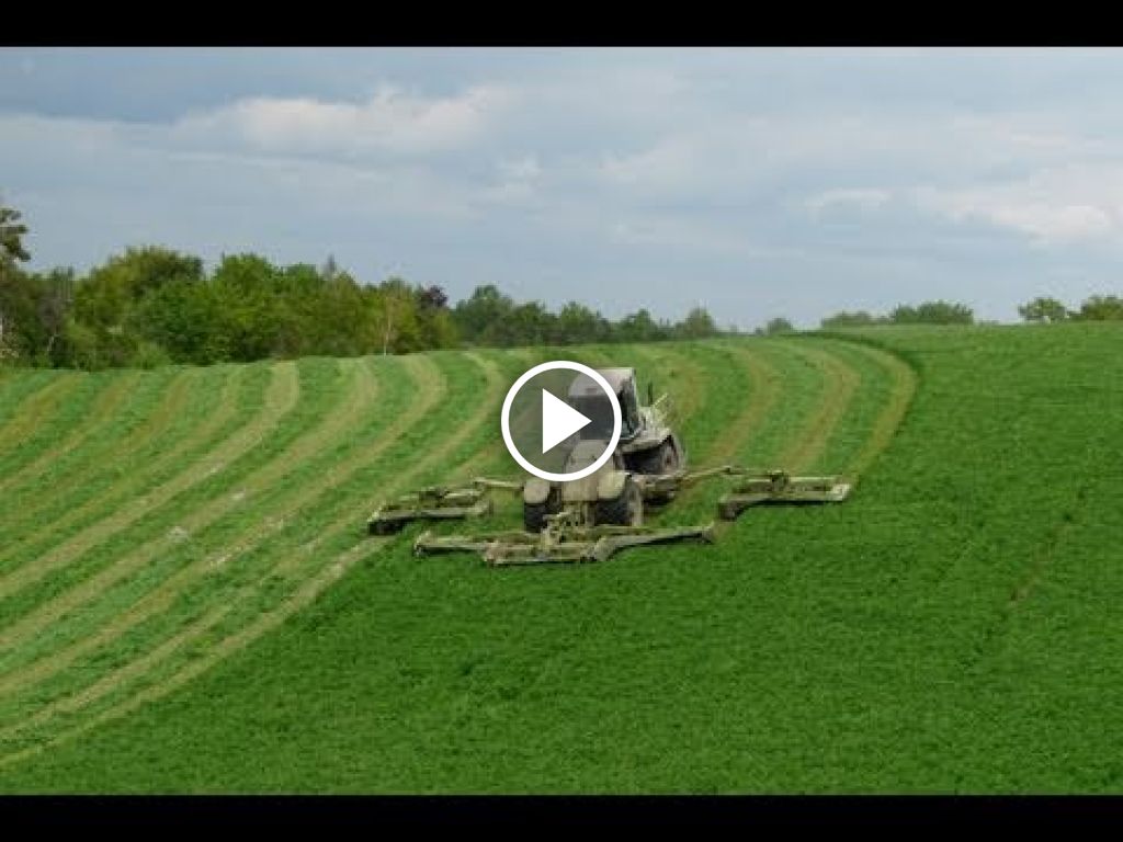 Wideo Claas Cougar