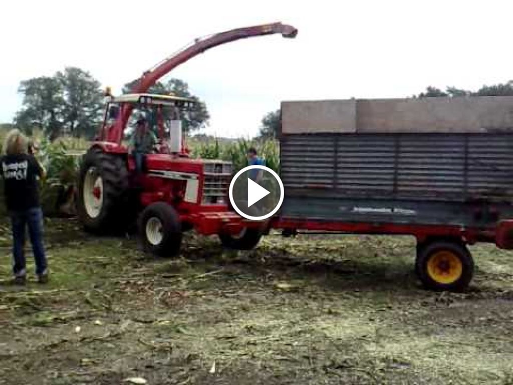 Videó International Harvester ...1246