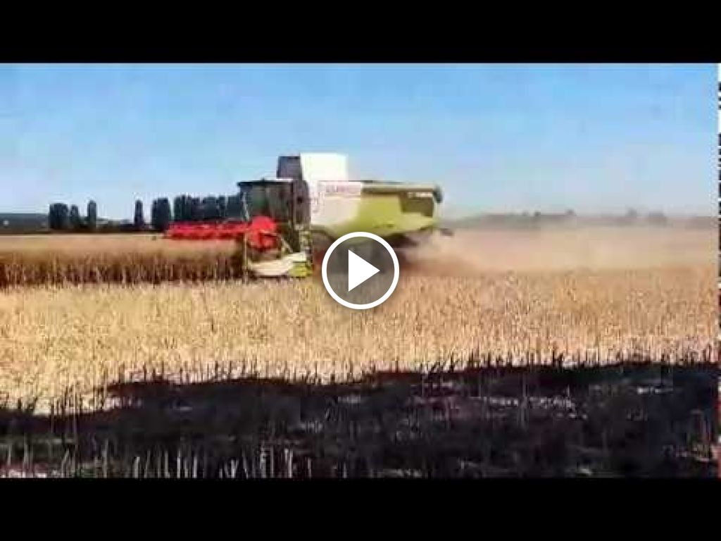 Wideo Claas Lexion 650