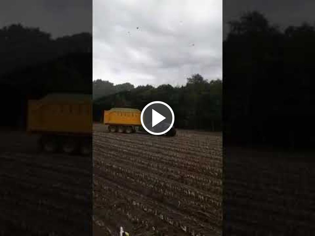 Wideo New Holland FX 450