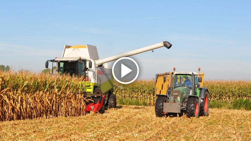 Wideo Claas Lexion 570