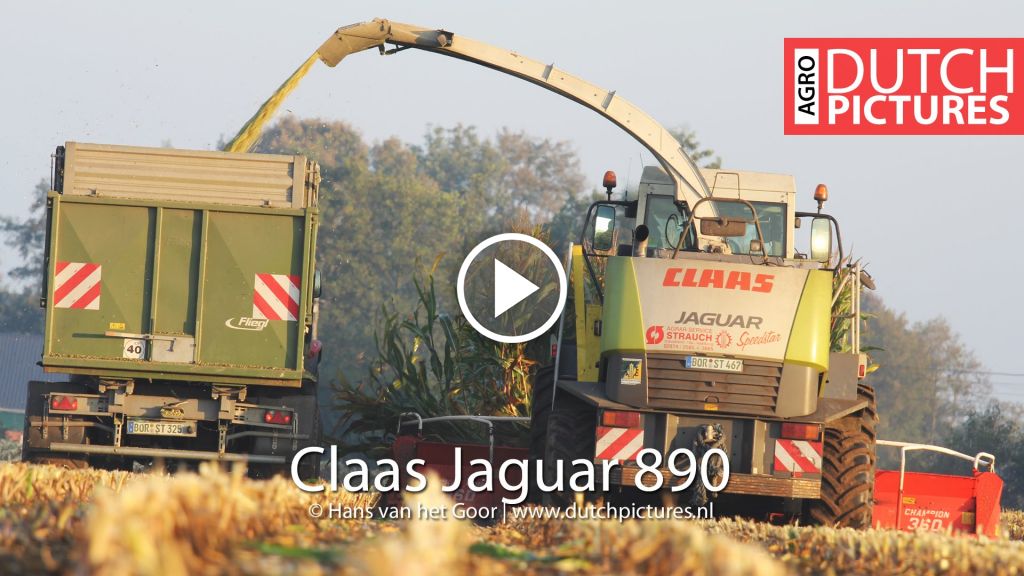 Video Claas Jaguar 890