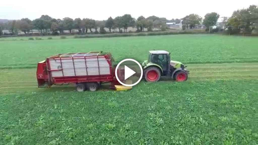 Wideo Claas Arion 410