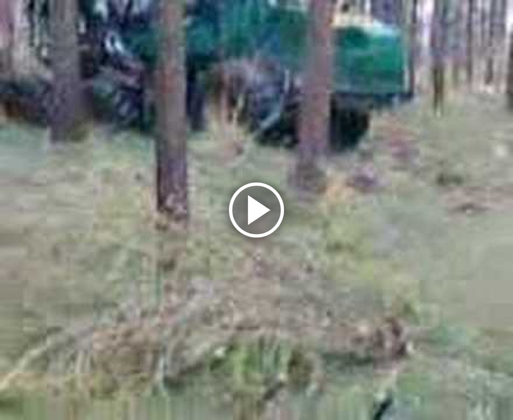 Video Timberjack Hout uit rij wagen
