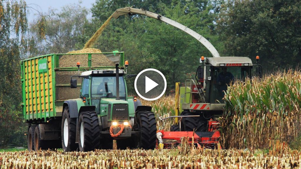 Wideo Claas Jaguar 890