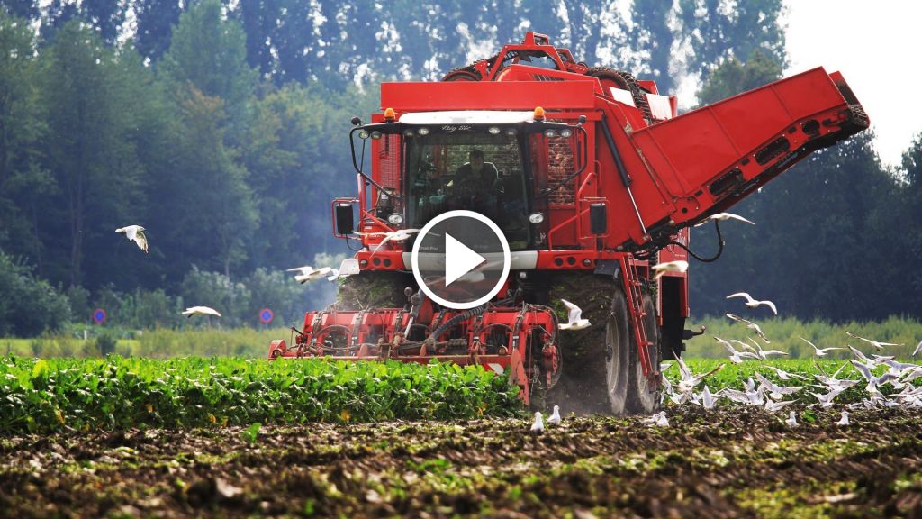 Vidéo Agrifac Big Six