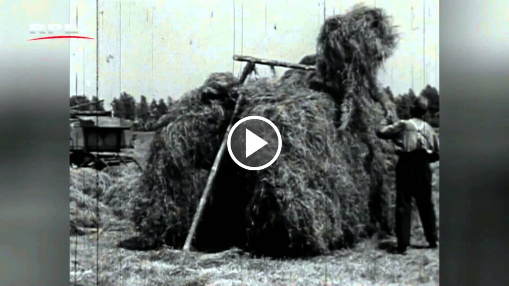 Videó oude doos paard en wagen