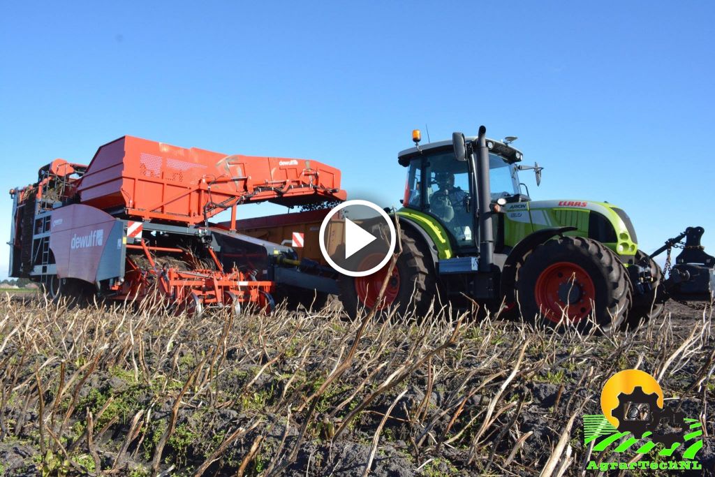 Wideo Claas Arion 630 Cebis