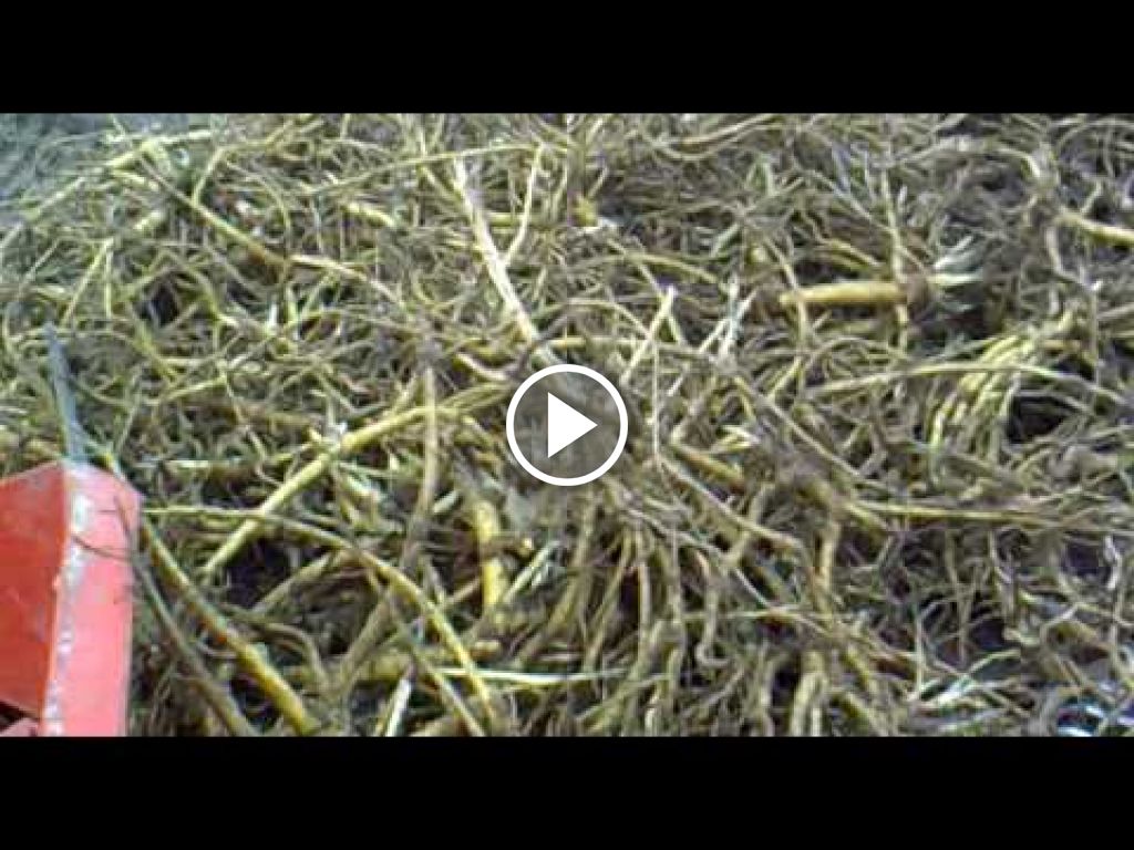 Video Deutz-Fahr Agrotron 115