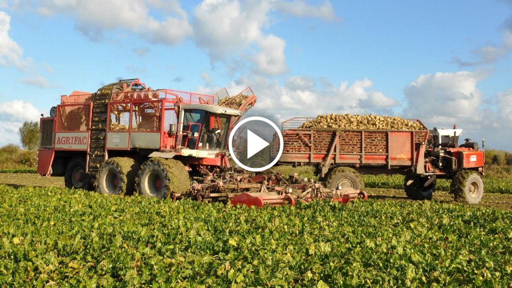Wideo Agrifac Bietenrooier
