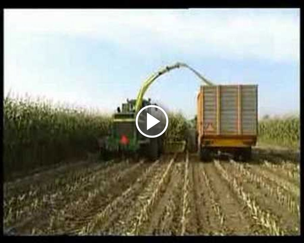 Wideo Fendt Favorit 10S