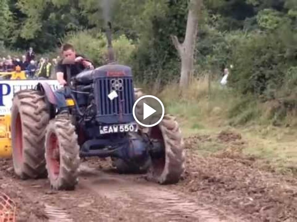 Video Fordson Meerdere