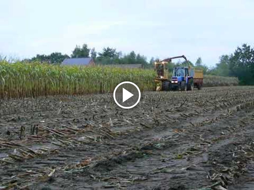 Video New Holland 1880
