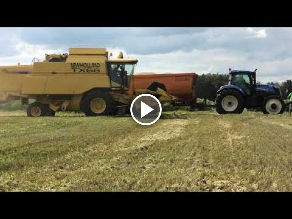 Wideo New Holland TX 66