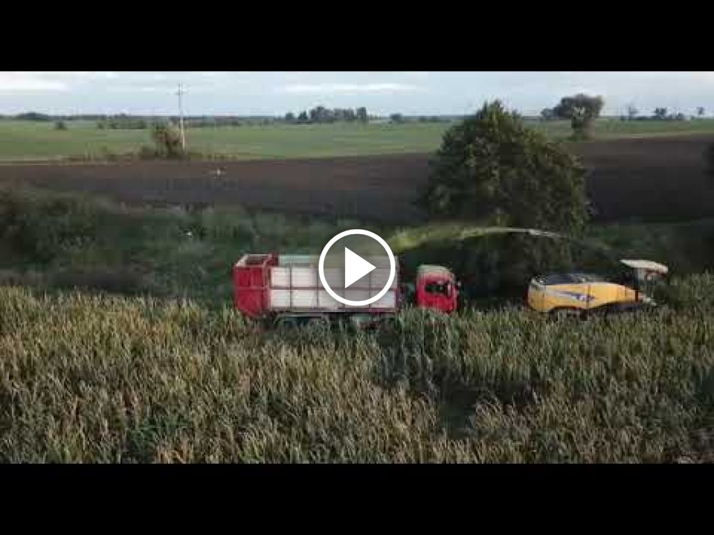 Wideo New Holland FR 920