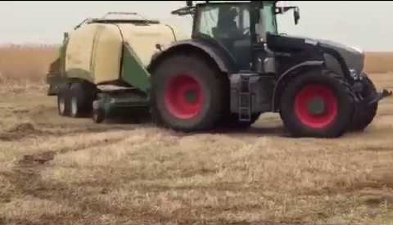 Reed pressing in December