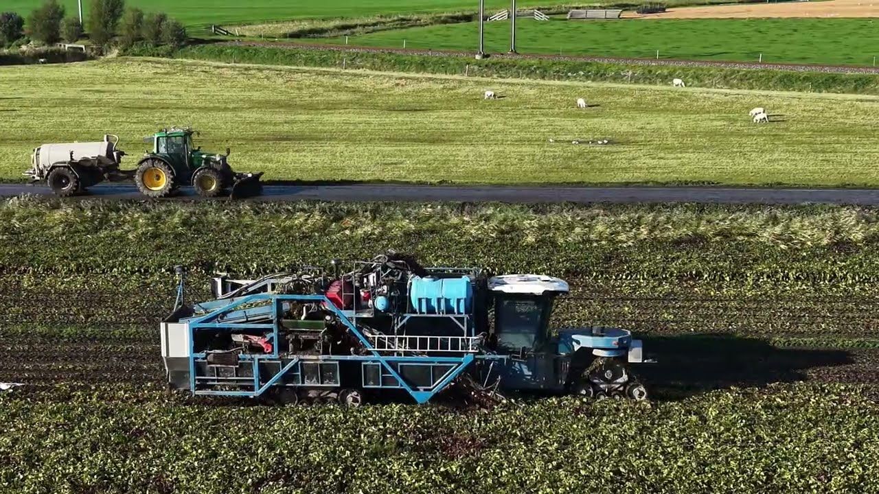 Stam-Schaap Agro in Ursem: alles draait om rode bieten